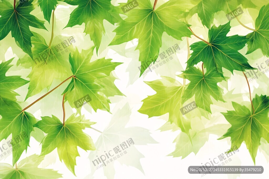 清新绿叶背景图
