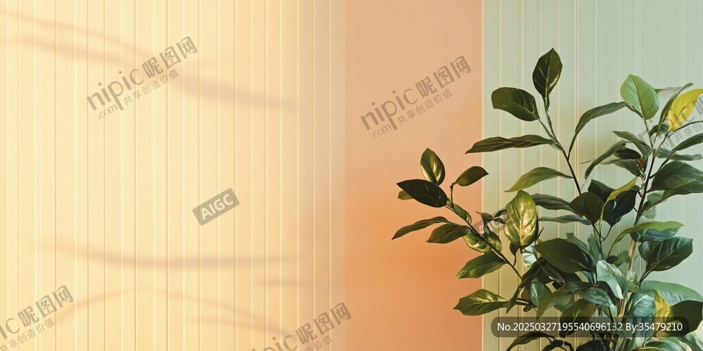 窗边绿植 光影下的清新生机
