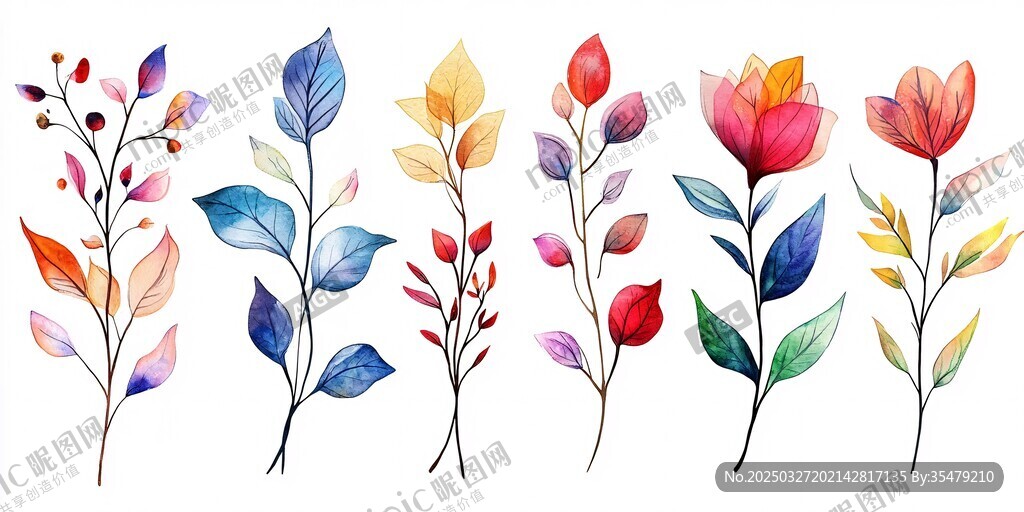 多彩水彩花卉植物插画