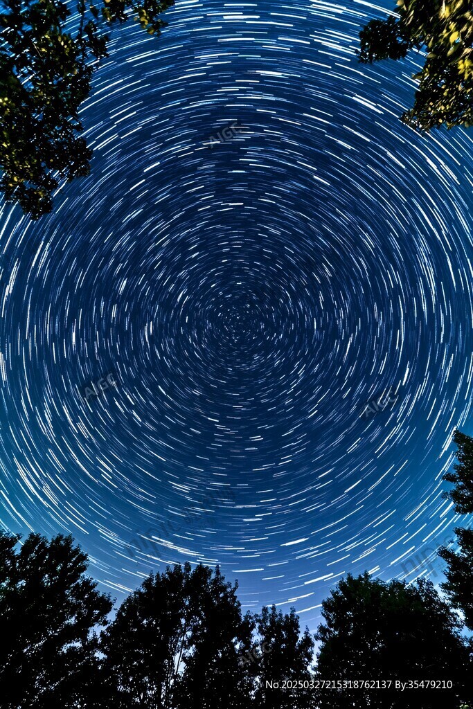 夜空星轨下的静谧树林