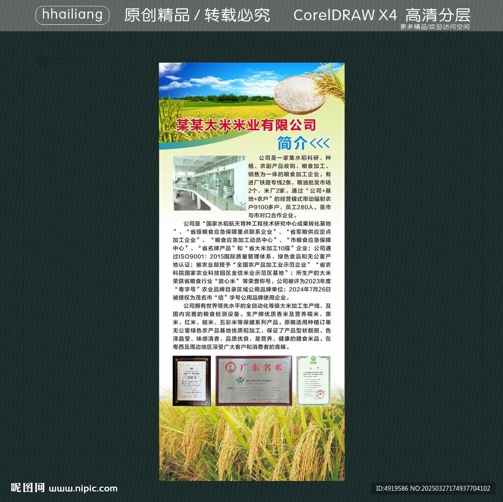 大米公司简介