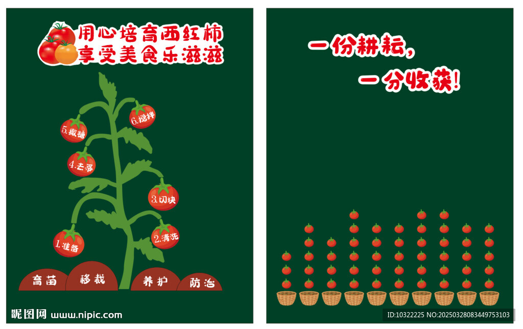 西红柿板书