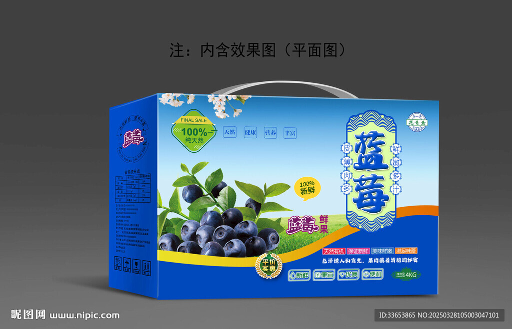 蓝莓包装