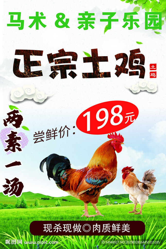 正宗土鸡