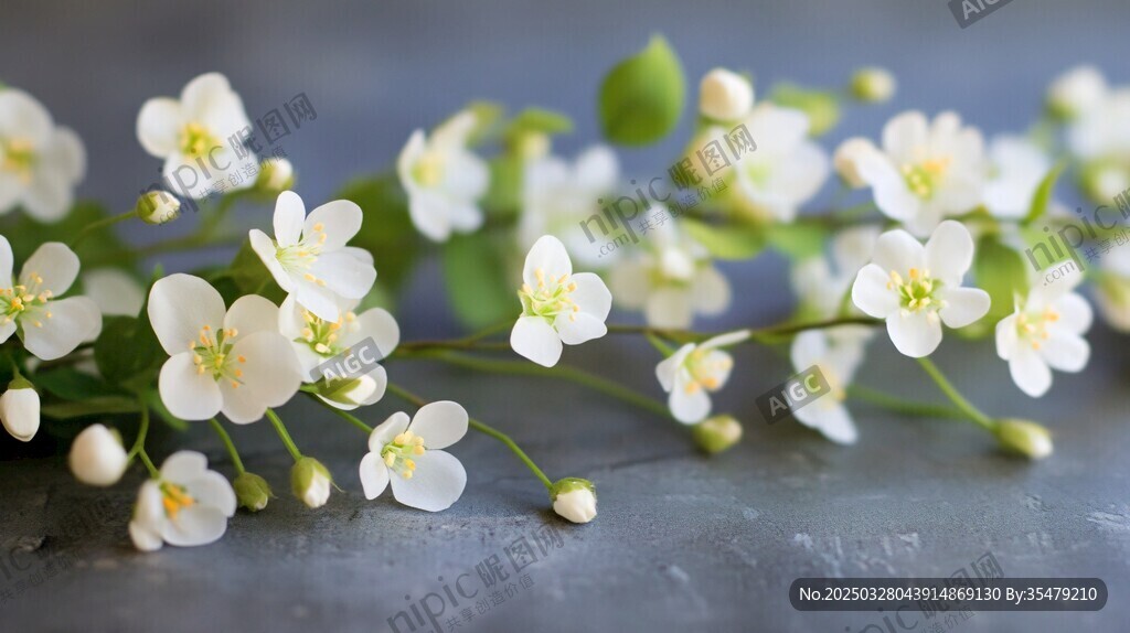 白色小花枝 清新自然美