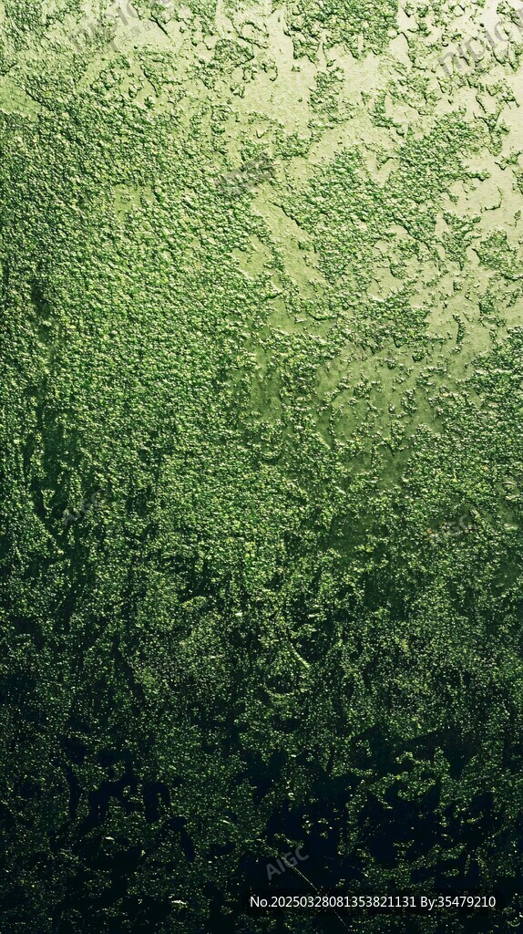 窗上水珠纹理独特景象