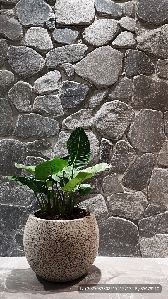 石墙前的绿植盆栽