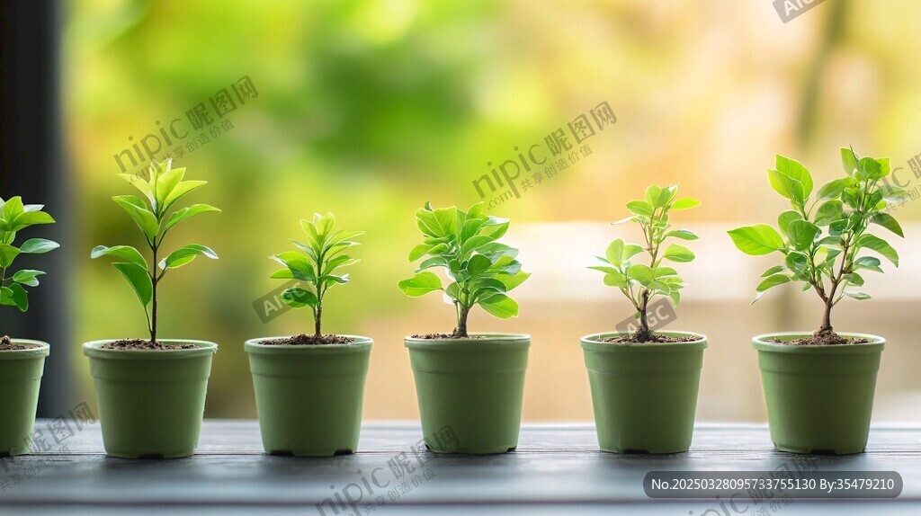 一排绿植盆栽清新小景