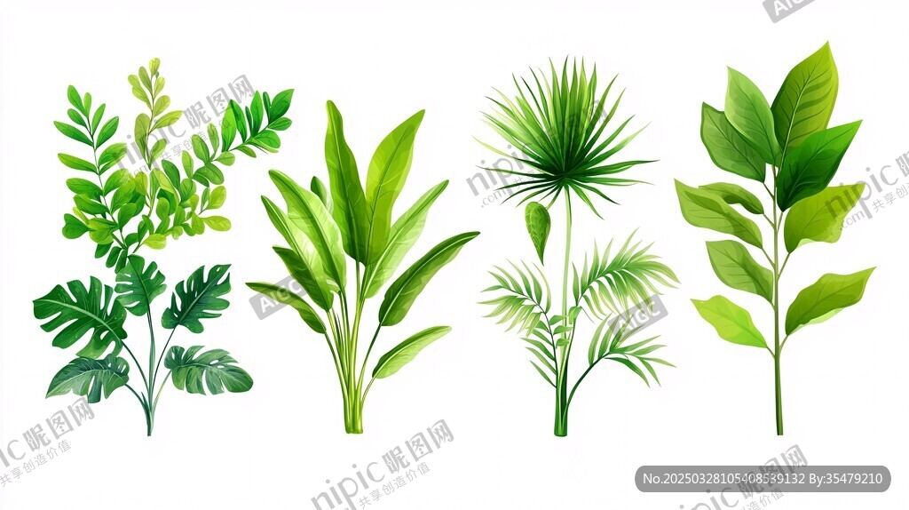 清新绿植集合