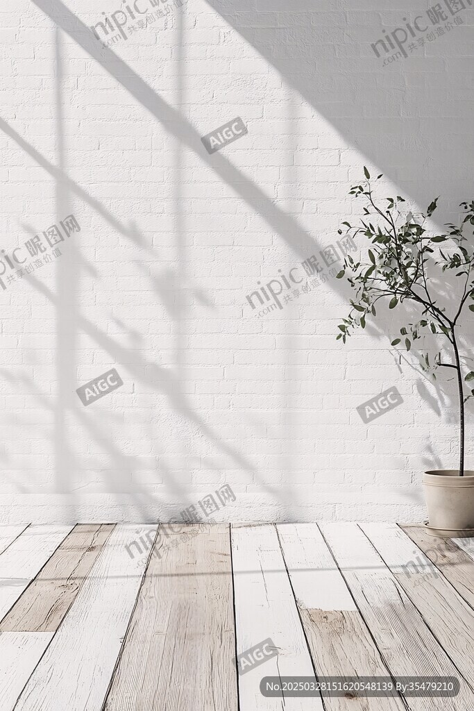 简约室内 阳光与绿植景致