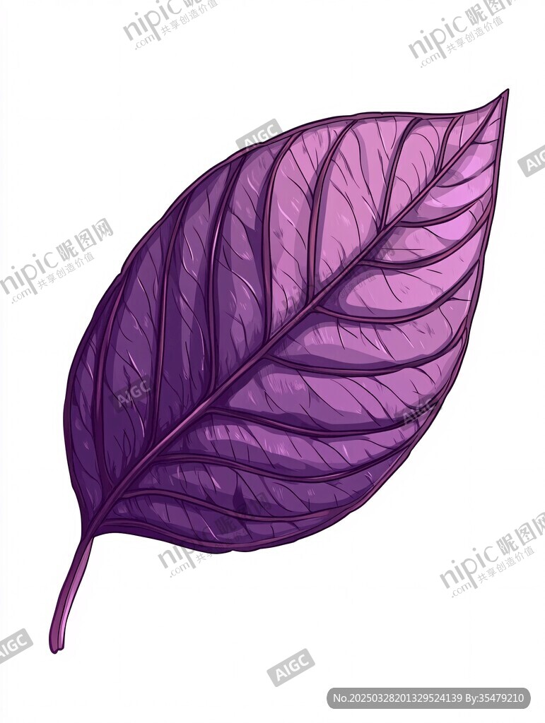 紫色叶脉叶片插画