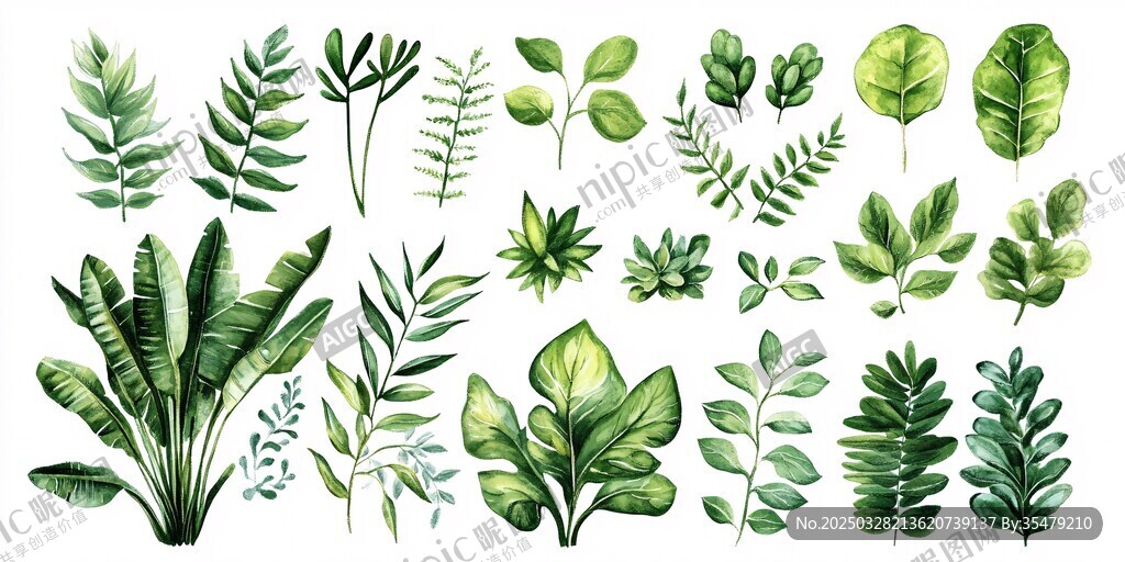 手绘水彩风多样绿色植物
