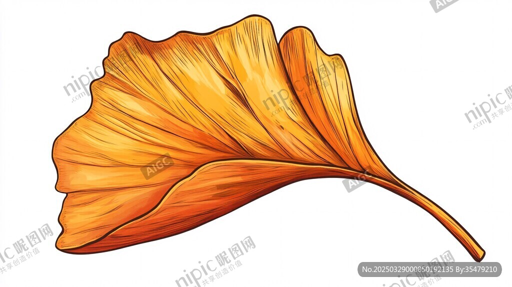 金黄银杏叶插画