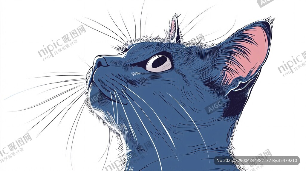 仰望的蓝猫