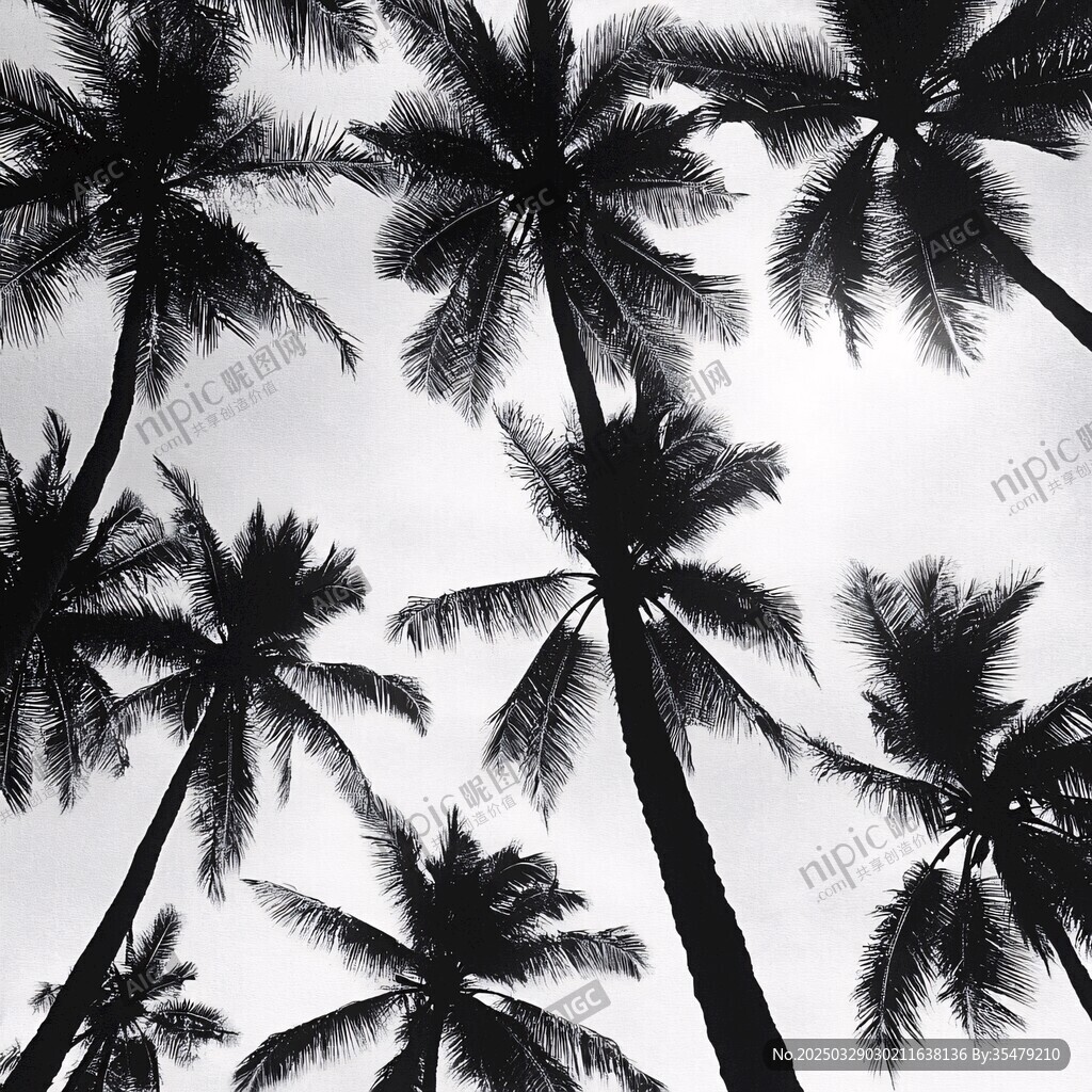 仰观椰林剪影
