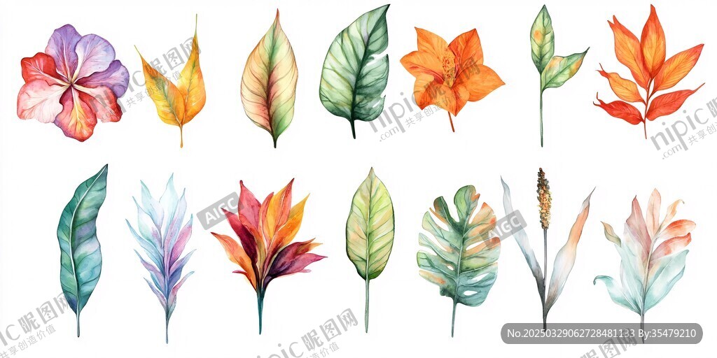 水彩绘多彩花叶组合