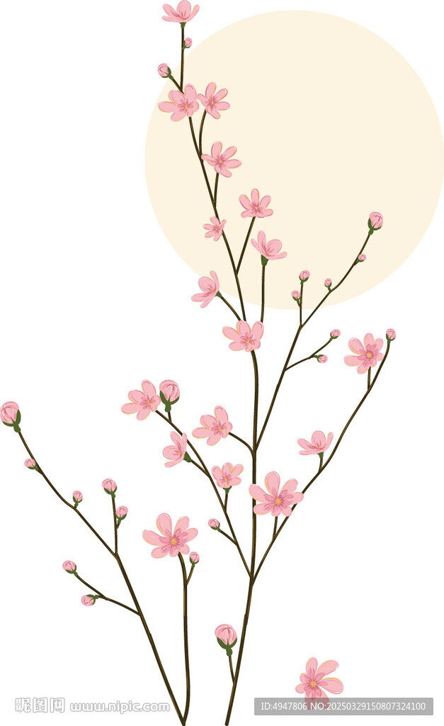 花映月 矢量图