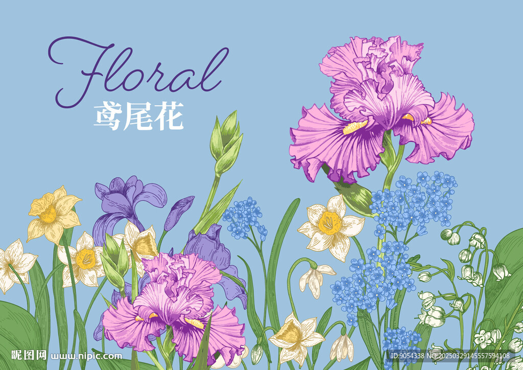 鸢尾花