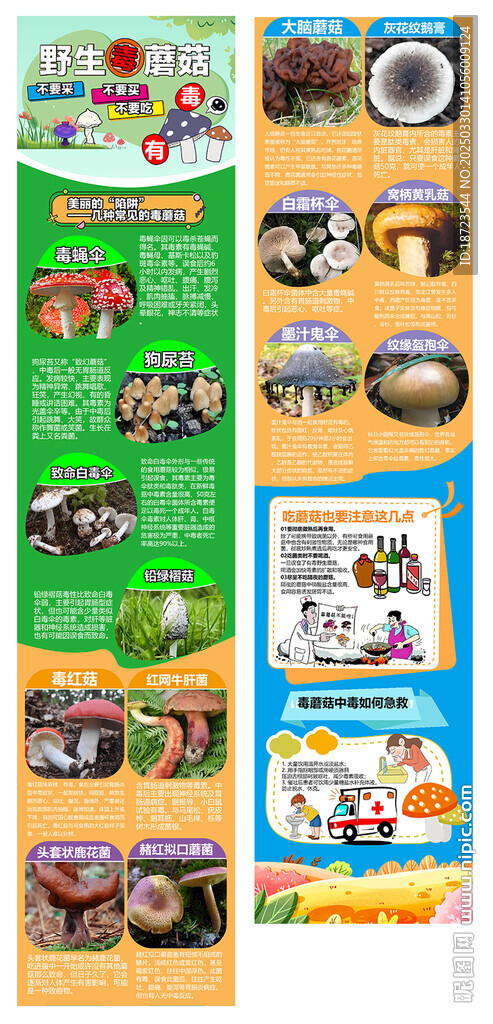 野生毒蘑菇