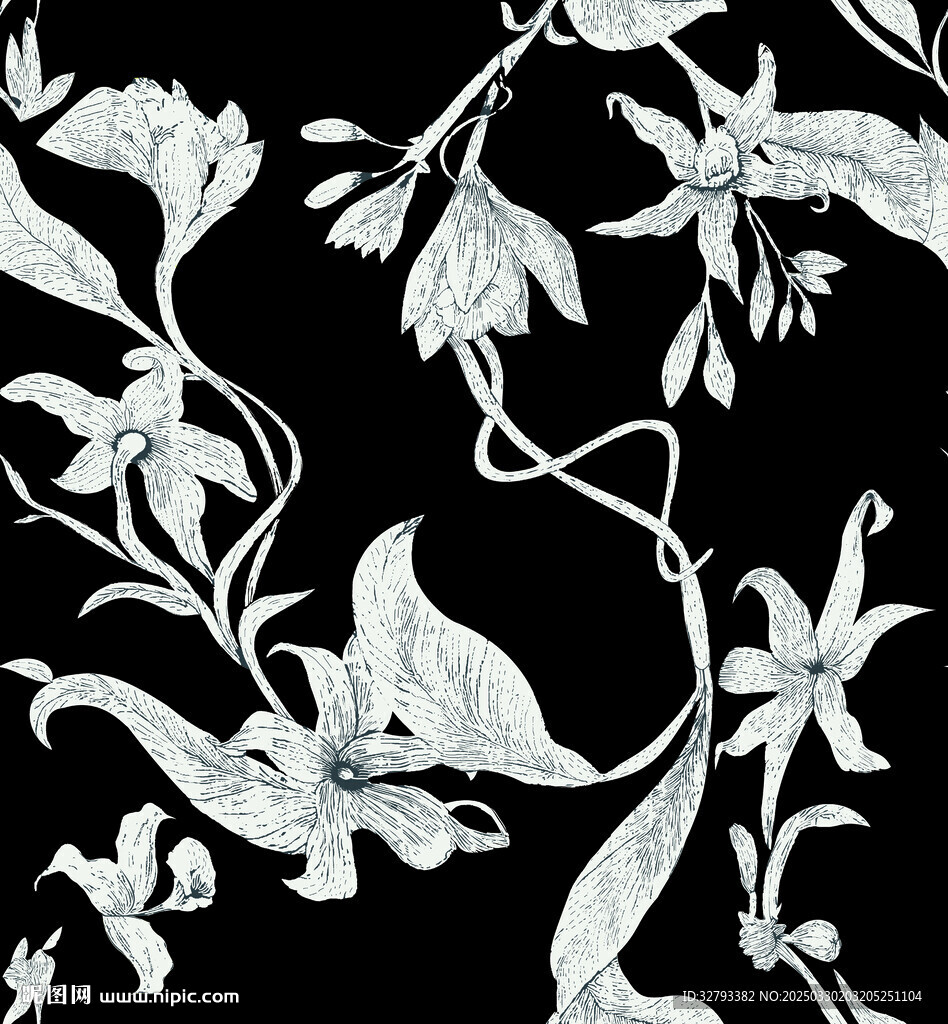 黑白花