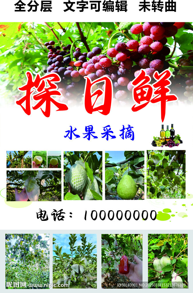 水果采摘莲雾番石榴门头