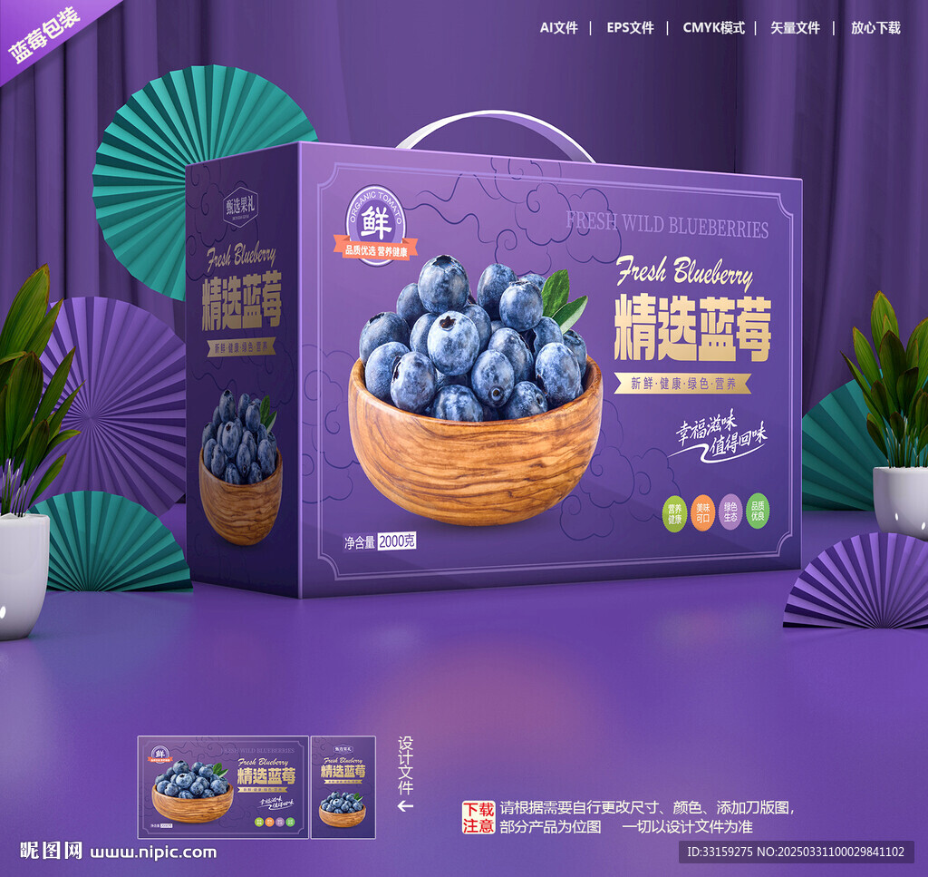 蓝莓包装 水果礼盒