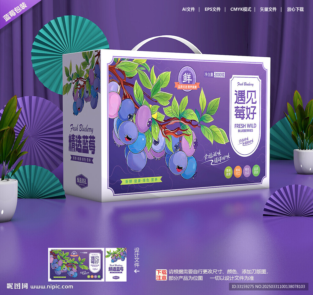 蓝莓包装 水果礼盒
