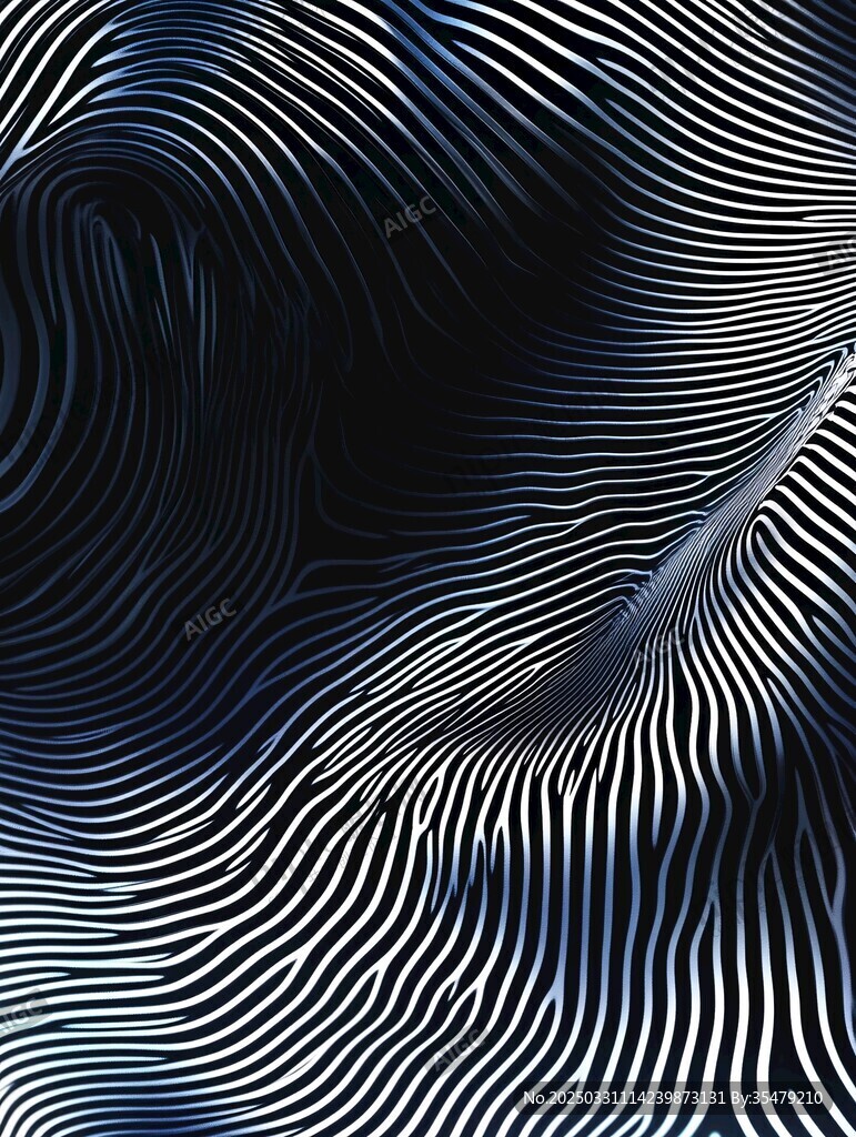 黑白条纹流动抽象艺术图