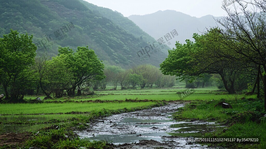山间雨后绿野小溪景致