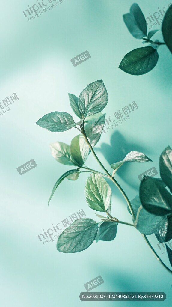 清新绿叶特写