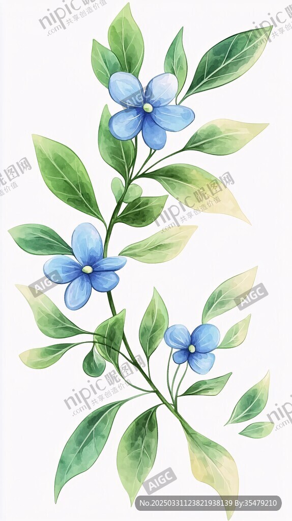 蓝色小花绿叶水彩插画