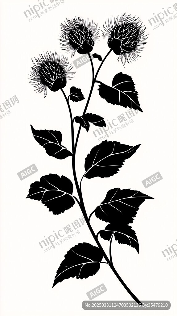 黑色蓟花植物剪影图案