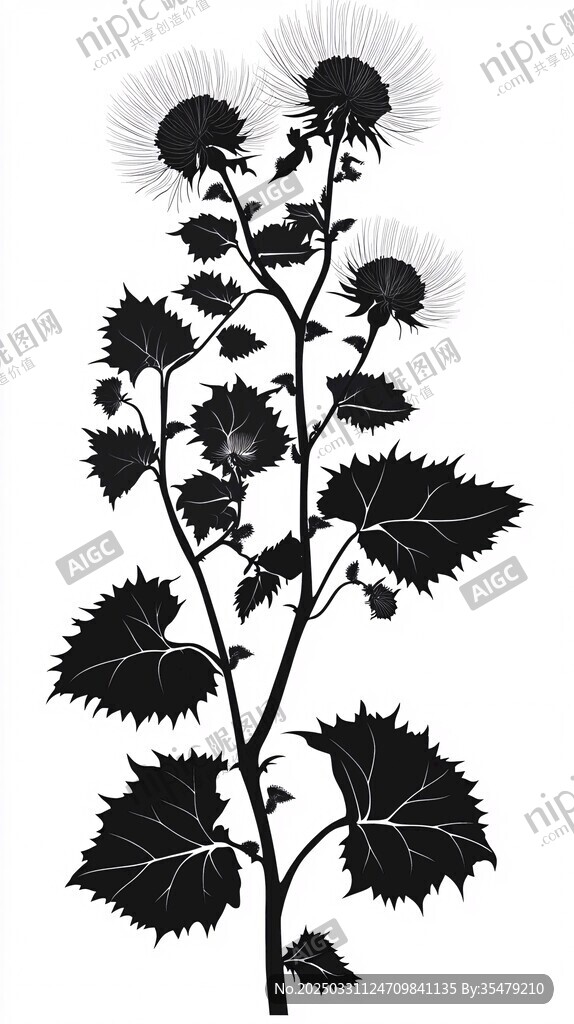黑色蓟花植物轮廓图