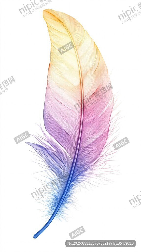 梦幻渐变彩色羽毛