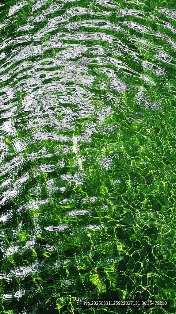 波光粼粼的翠绿水面