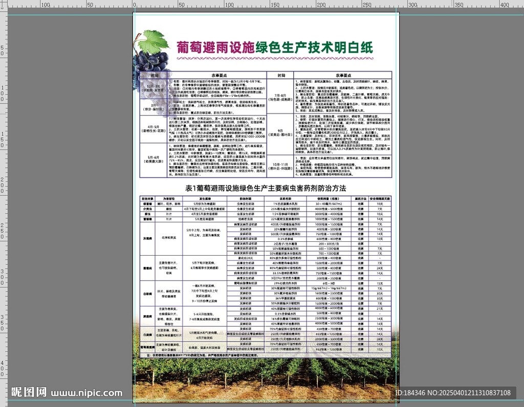 葡萄绿色生产技术明白纸
