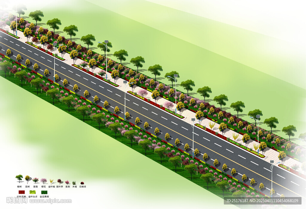 道路绿化效果图