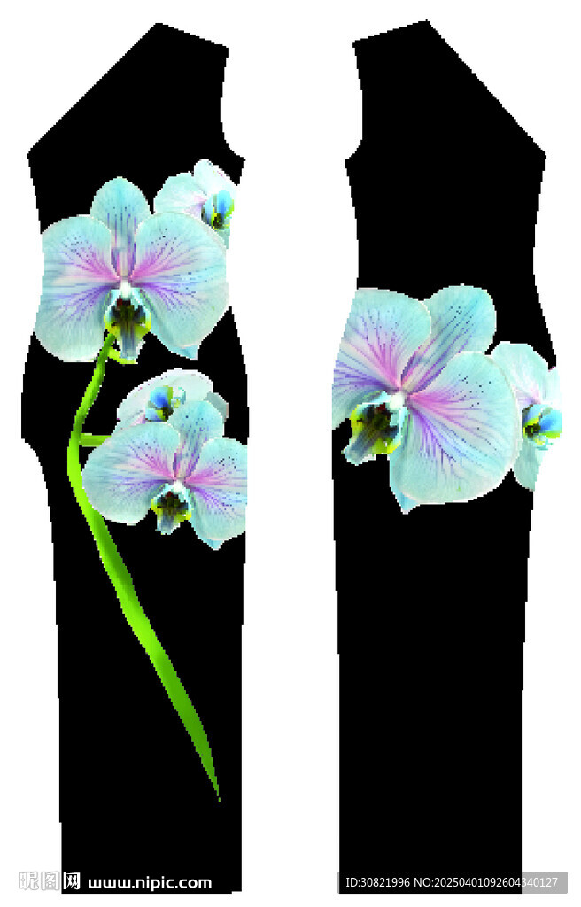 兰花定位