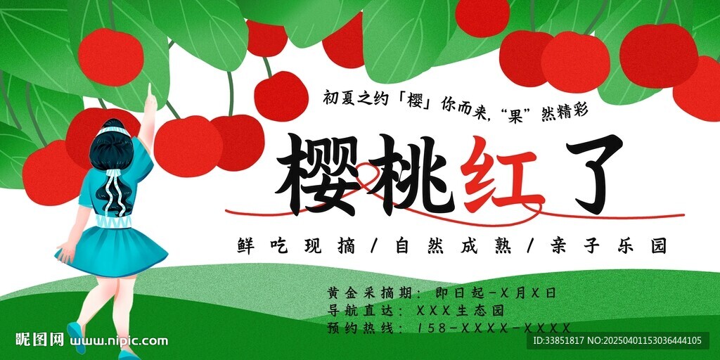 樱桃