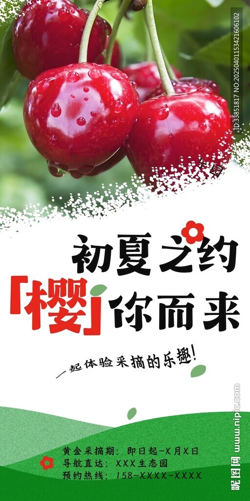 樱桃