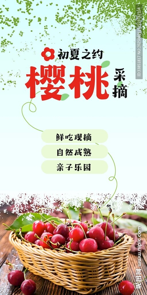 樱桃
