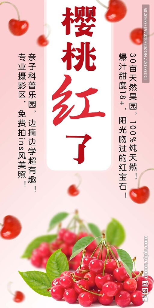 樱桃
