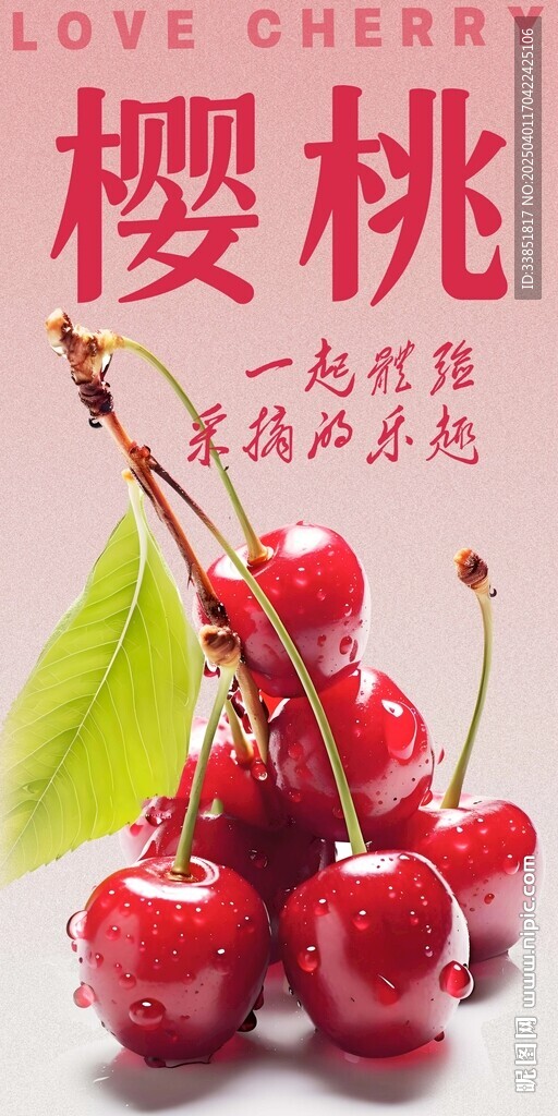 樱桃