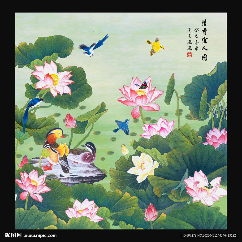 荷花
