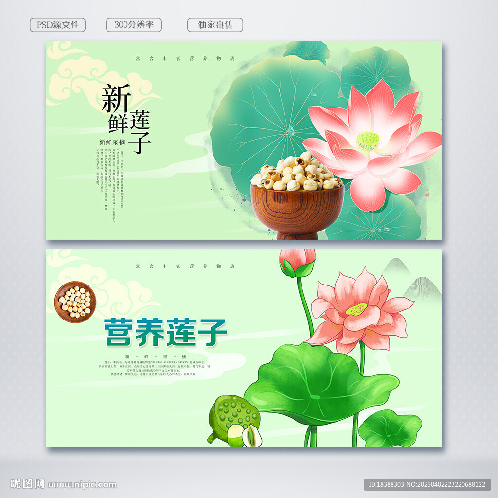莲子