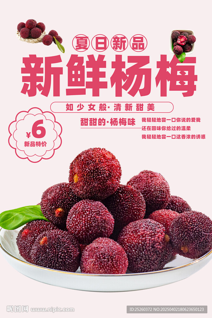 杨梅