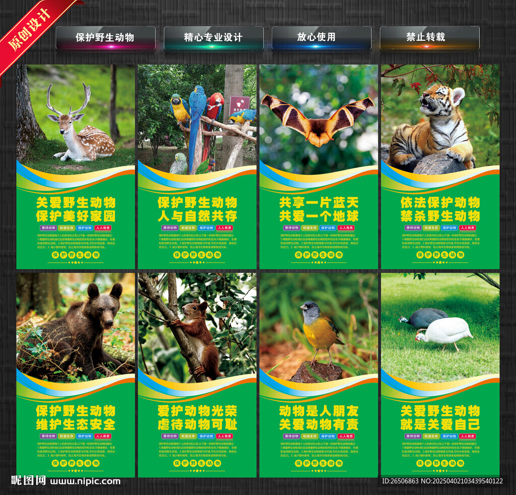 保护野生动物