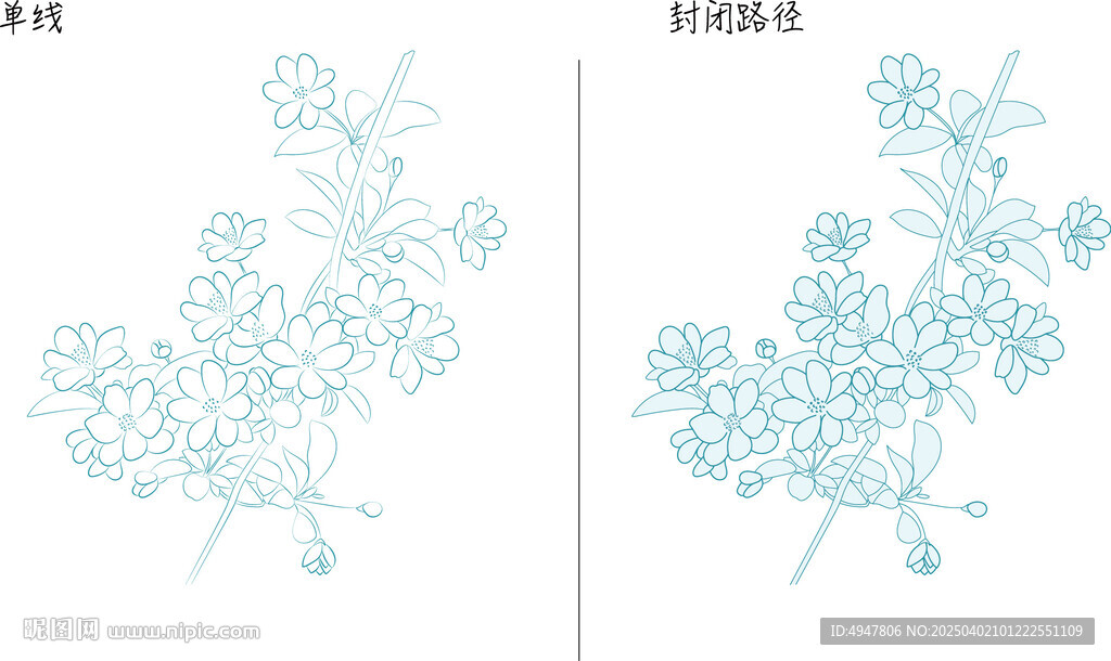 栀子花 矢量图