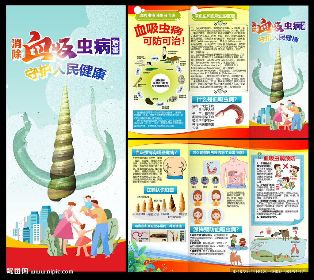 血吸虫三折页