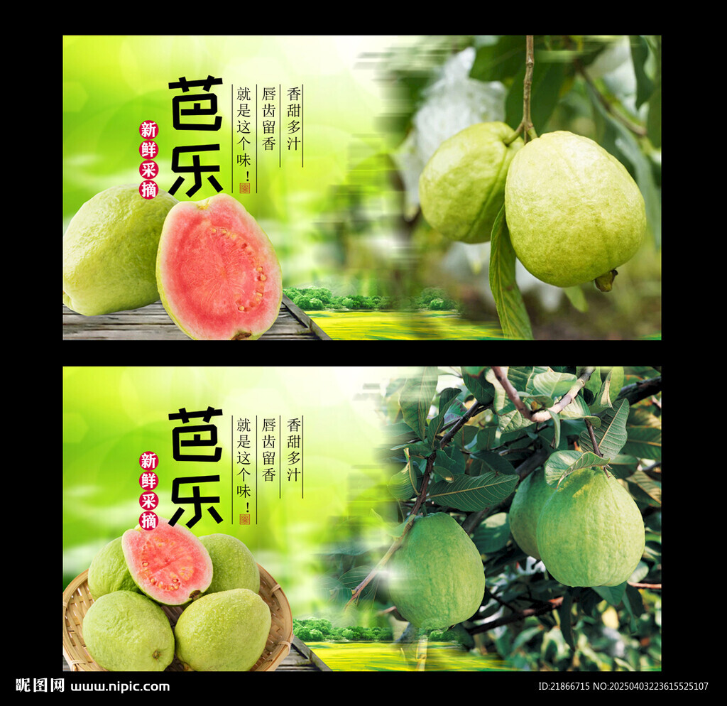 芭乐